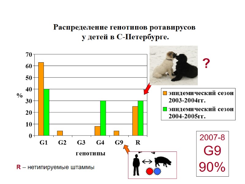 Распределение генотипов ротавирусов   у детей в С-Петербурге. ? 2007-8 G9 90% R